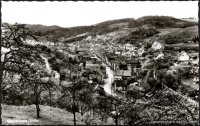 Blick vom Steilnrain, 1959