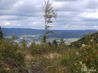 Extratour Eschenburgpfad