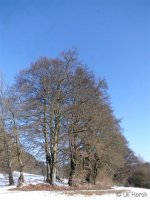 Extratour Eschenburgpfad