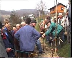 ogv-schnittkurs